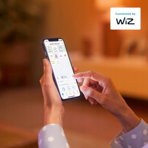 Philips WiZ | Philips Smart WiFi Filament Clear G95 RGB | E27 | 6.3 W | Full colour 6