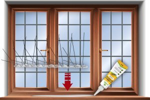 AVIK Bezbarwny Klej 70ml do Montażu Zamocowania Kolców na Ptaki Gołębie 4