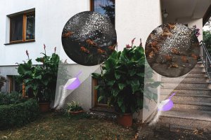 Effect Proszek na Mrówki 3kg Środek Preparat Granulat na Mrówki Mrowiska Gniazda Mrówek 4