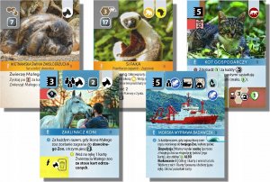 Portal Games Dodatek do gry Ark Nova: Wodny świat 3