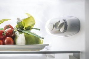 Lodówka Candy Chłodziarko-zamrażarka CCG1L314FW 6