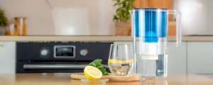 Dzbanek filtrujący Wessper Dzbanek Wessper AquaClassic Basic 2.5L niebieski 4