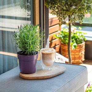 Wessper Szklanka termiczna na kawę z podwójnym dnem WESSPER 250ml 13