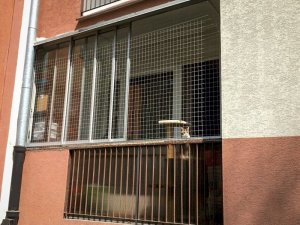 Linarem SiatkiSieci ZESTAW SIATKA NA BALKON DLA KOTA 6x3 BEZ WIERCENIA MARKA BEZPIECZNE KOTY 23
