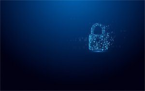 Pendrive Kingston Kingston IronKey Vault Privacy 50C 16GB USB-C 256bit AES Encrypted 9