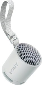 Głośnik Sony SRS-XB100 szary (SRSXB100H.CE7) 3