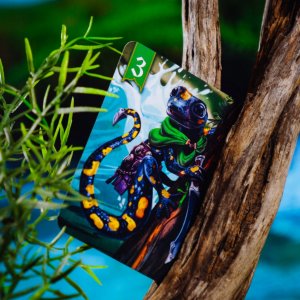 Muduko Gra Spór o Bór 2. Na tamę marsz! 2