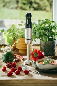 Blender Adler AD 4628 14