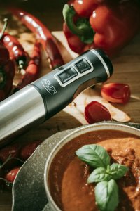 Blender Adler AD 4628 17