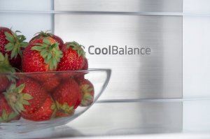 Lodówka Amica Chłodziarko-zamrażarka BK3055.6NFM(E) 9