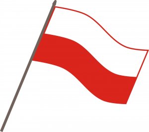 Adapter USB Co2 USB-A - RJ-45 Szary 11