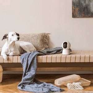 Kamera IP Arenti Arenti P2Q 4MP Indoor UHD Pan-Tilt Wi-Fi Camera 3