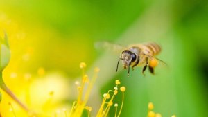 Smartfon Oukitel WP23 Pro 8/128GB Czarno-pomarańczowy  (WP23Pro-OE/OL) 25