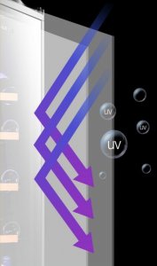 Chłodziarka do wina Caso Caso | Wine cooler | WineComfort 24 | Energy efficiency class G | Bottles capacity 24 bottles | Cooling type Compressor technology | Juodas 5