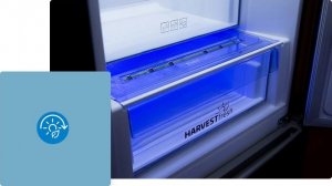 Lodówka Beko Lodówka Beko BCNA254E43SN 2