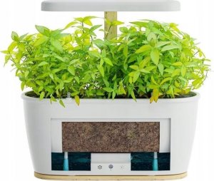 ExtraLink Extralink Smart Garden | Inteligentna doniczka | Wi-Fi, Bluetooth 13