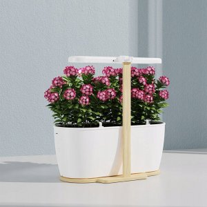 ExtraLink Extralink Smart Garden | Inteligentna doniczka | Wi-Fi, Bluetooth 6