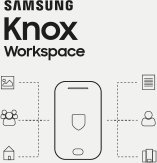 Samsung SAMSUNG KNOX Workspace 2-Year license 1