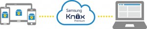 Samsung SAMSUNG KNOX Premium 2-Year license 3