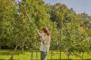 Gardena Gardena combisystem do gałęzi 17401-20 8