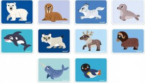 Janod Janod Magnetibook Zwierzęta polarne 6