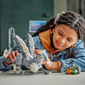 LEGO Harry Potter Hardodziob™ (76427) 2