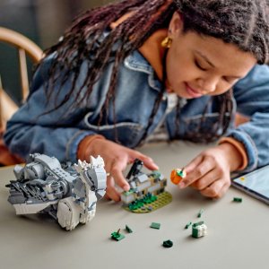 LEGO Harry Potter Hardodziob™ (76427) 3