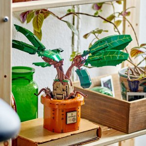 LEGO Harry Potter Mandragora (76433) 4