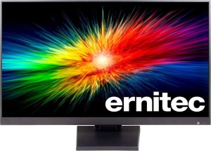 Ernitec 22" Surveillance monitor for 1