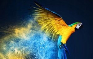 Projektor Havit Rzutnik / projektor bezprzewodowy HAVIT PJ217-EU biały 9