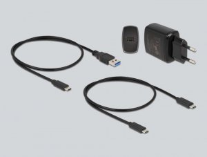 Stacja dokująca Delock Dockingstation M.2 NVMe SSD + M.2 SATA SSD SD Express 4