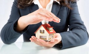 UPS Rebel POWER-800 (RB-4012) 3