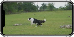 Kamera IP IMOU Kamera IP Imou Cruiser 2C 5MP 14