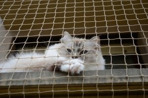 Linarem SiatkiSieci ZESTAW PREMIUM NA BALKON Z SIATKĄ WZMOCNIONĄ DRUCIKIEM WYMIAR 4m x 2m 3