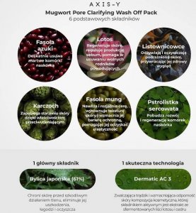 Axis-y AXIS-Y Mugwort Pore Clarifying Wash Off Pack oczyszczająca maska do twarzy z bylicą 100ml 5