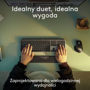 Klawiatura + mysz Logitech MX Keys S Combo for Mac (920-012845) 2