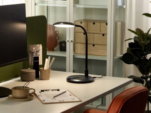 Lampka biurkowa Beliani srebrna  (379289 Bel) 5