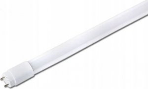Świetlówka Ecolight Świetlówka LED 25W 150cm T8 G13 2500lm 6500K zimna Glass Eco EC79542 Eco Light 3