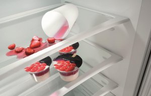 Lodówka Gorenje RK4182PW4 5