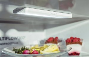 Lodówka Gorenje RK4182PW4 6