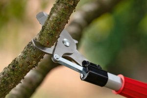 Sekator Bosch AdvancedPrune 18V-45 kowadełkowy 2