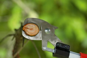 Sekator Bosch AdvancedPrune 18V-45 kowadełkowy 4