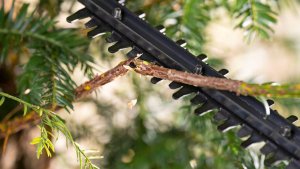 Bosch Nożyce akumulatorowe EasyHedgeCut 18V-44-11 44 cm (0600849H06) 3