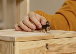 Figurka Schleich Figurka Jamnik Szorstkowłosy 4