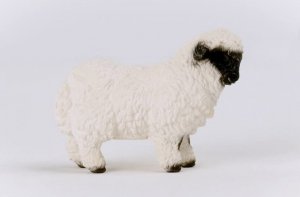 Figurka Schleich Figurka Owca Walliserska Czarnonosa 5