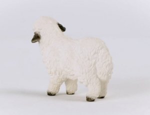 Figurka Schleich Figurka Owca Walliserska Czarnonosa 6