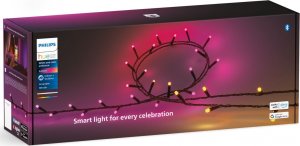 Philips Philips Hue Festavia girlanda 500 6