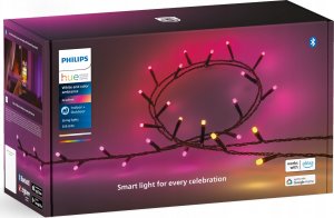 Philips Philips Hue Festavia girlanda 250 3