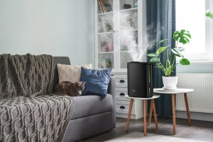 Nawilżacz powietrza Transa Electronics MistyBlack Czarny 10