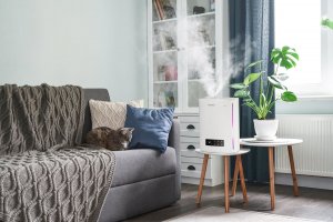 Nawilżacz powietrza Transa Electronics MistyWhite Biały 10